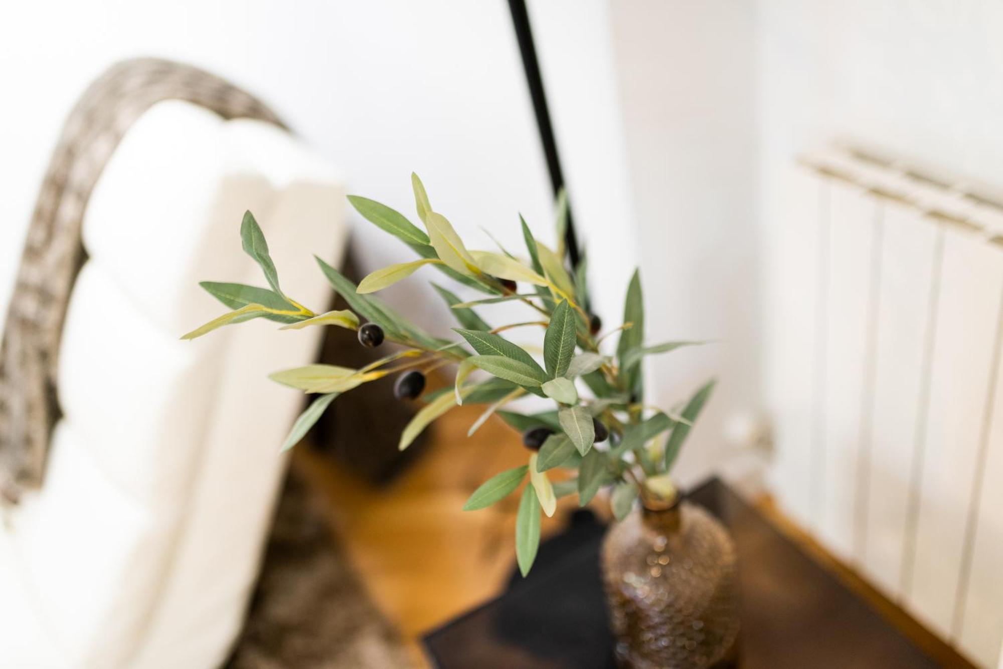 Moderno Apartamento En Granada Centro エクステリア 写真